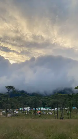หมอกยามเช้าที่ชุมชนภูสอยดาว ก่อนฟ้าจะปิดทั้งวัน ⛰️🍃 #ภูสอยดาว #ภูสอยดาวอุตรดิตถ์  #เที่ยวไทย #fyp #เที่ยวไปเรื่อย 