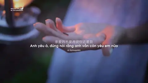 “我还是放不下，那段早该忘的故事。” Tôi vẫn chưa buông được câu chuyện lẽ ra nên quên từ lâu. | #lyrics #nhactrungquoc #nhactrung #emdathay #我看过 🎧