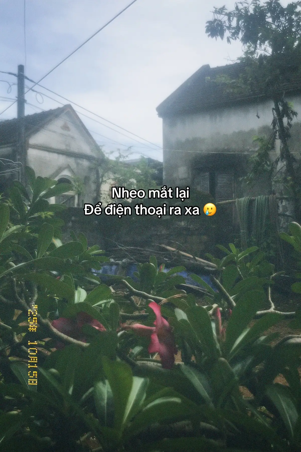 #dthw💕🐰 #dthuong💞 #xuhuong #tamtrang 