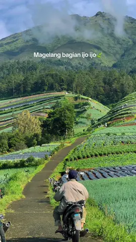 Magelang cocok bgt si buat slow living menghabiskan masa tua🍃 #Wisatamagelang #Exploremagelang #gunungsumbing #ftv #kaliangkrik 