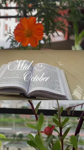 #october #viralreels #viraltiktok #viral #flowers 