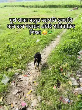 ঠিক না 😅#anikahmed10k #foryou #foryoupage #bdtiktokofficial #manikgonj 