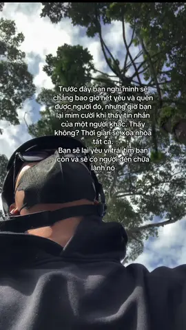 thấy chưa tui nói mà