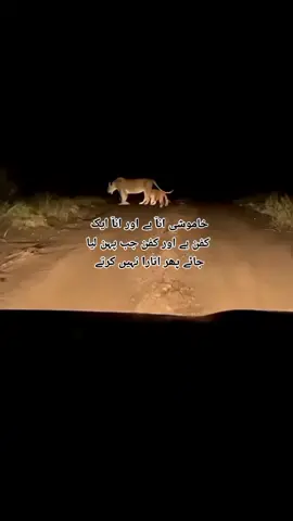 INجY 🔥💀  #unfrezzmyaccount #trendformusic #foryou 