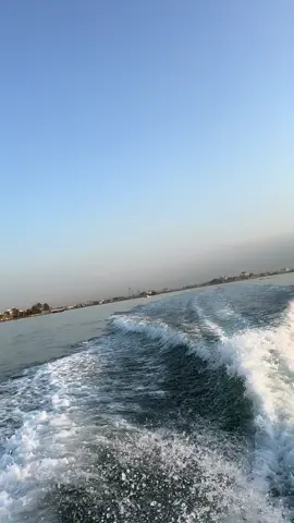 #صباحكم_سعادهـ🌸🍃 