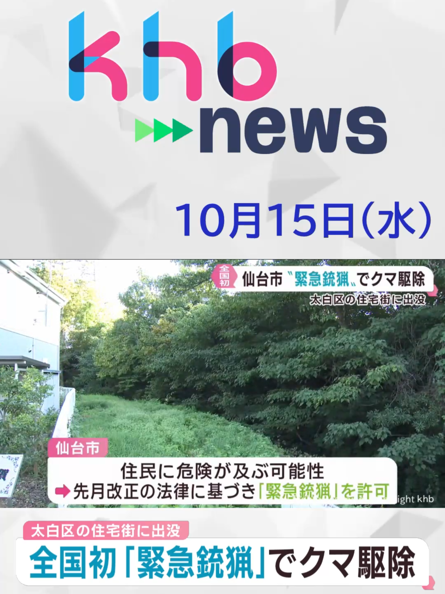 【khb】全国初「緊急銃猟」でクマ駆除#クマ #鈎取 #宮城 #khb