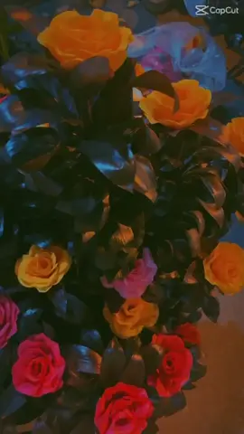 Tâm an vạn sự an 