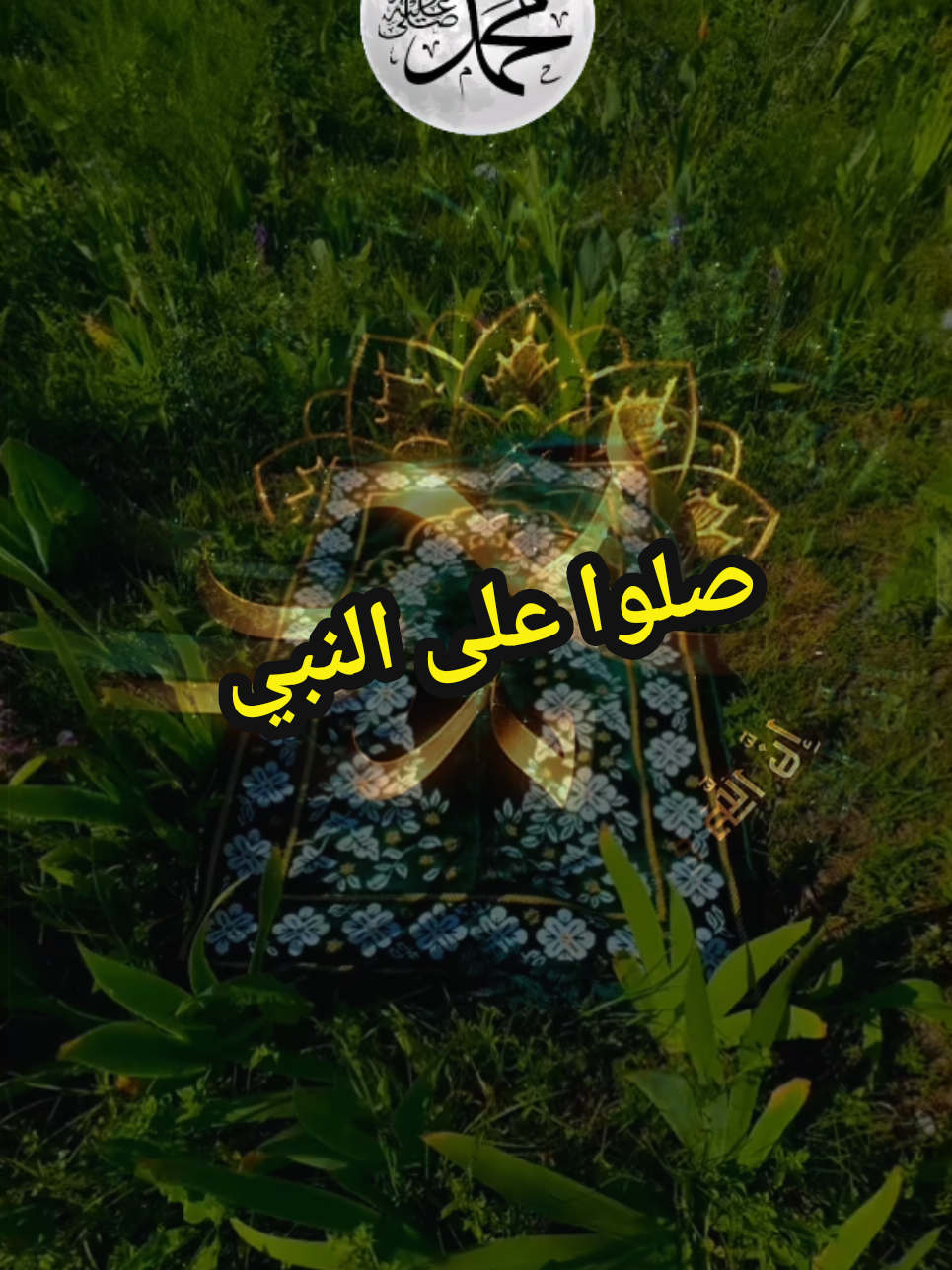 #ان_الله_وملائكته_يصلون_على_النبي #ياأيها_الذين_آمنوا_صلو_عليه_وسلمو_تسليما 