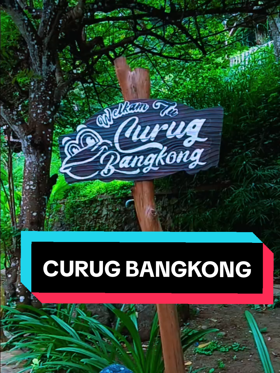 wisata alam kuningan emang bagus-bagus semua lur.. selain udaranya sejuk, suasana tenang dan pemandangan yg indah HTM nya juga sangat murah..👍🏻,cocok buat liburan bareng leluarga.. . . . .  . . . . . . #fyp #campground #wisatakuningan  #curugbangkong #airterjun  @Kabupaten Kuningan @MIM  AL-MAQOSID @Dian Rachmat Yanuar @Nurcholis Mauludin Syah @SMKN 4 Kuningan @curugbangkong @Cctv jalanan @PaguyubanWargaCikeusik @Imae Azhar @enjoykuningan @jadugbolang @tjatjing__ 