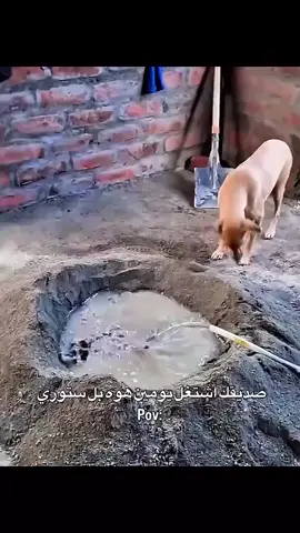 #تاك #لصديقك 