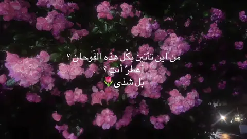 بل شذى🌷 #ورد #شذى #foryou #fyp #flowers 