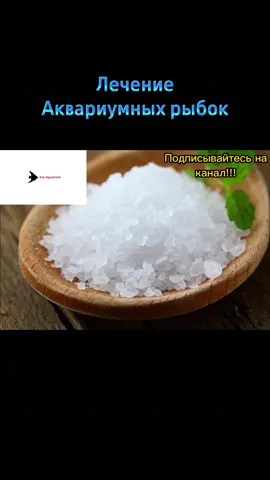 Лечение аквриумных рыбок. #лечение #zooaquarium3 #аквариумистика #аквариум #аквариумныерыбки 