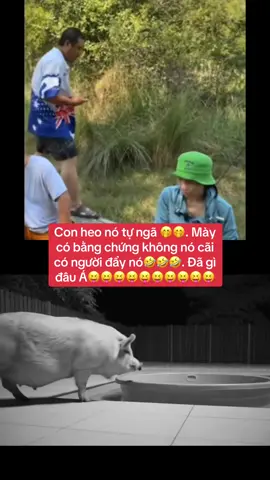 #xuhuongtiktok #tinhot #haihuoc #thichminhtue #trendingvideo 