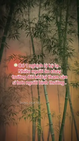 #CapCut nghịch lý kỳ lạ. Từng chứng kiến nhiều phật tử cố gắng ăn chay trường , nhưng tâm sân si của họ lại lớn hơn cả lúc chưa tu tập