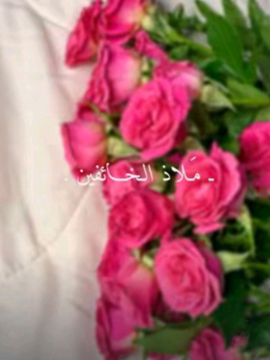 سورة البقرة  #راحه_نفسيه #اللهم_صلي_على_نبينا_محمد #لايك__explore___ #الحمدالله_علی_کل_حال❤ #قران_كريم 