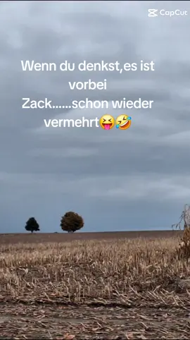 #CapCut 