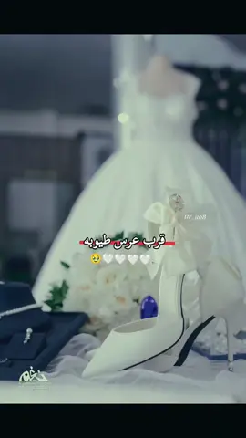 #هاشتاكات #مالي_خلق_احط_هاشتاقات #هاشتاقات #عرس 