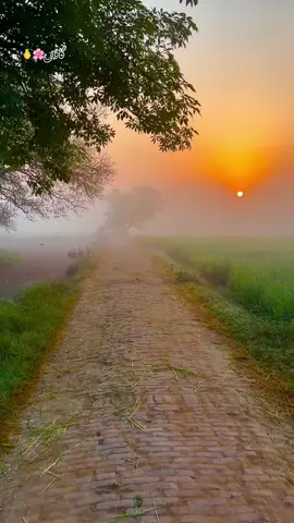 #🍂میرا-سونا_ پنڈ_لنگے-ضلع -سیالکوٹ🌅🍃🌾❤️#shabanhaider1000✅🌱 #foryoupage #unfrezzmyaccount 
