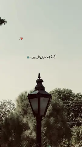 اِک تُو بندہ موڈیاں نال ہویں . 🌙🫂🫶🏼🫀🦋 . #fyp #foryou #shayri #poetry #viewsproblem