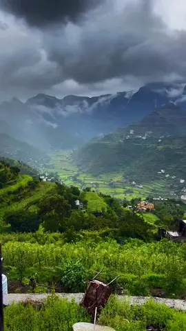 🫡🇾🇪🇾🇪🫡