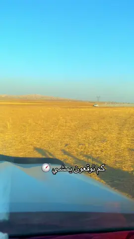 #محمد_السنعوسي 