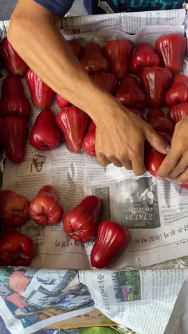 Partai besar dan kecil siap ndan 🫡