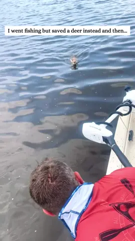 I went fishing but saved a deer instead and then...#fyp #animals #rescue #fawn#dog