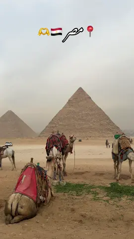 📍مصر 🇪🇬🫶 #qasimsohailofficial #foryou #egypt #fyp #pakistan 