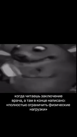мне оч нравится этот хомяк 