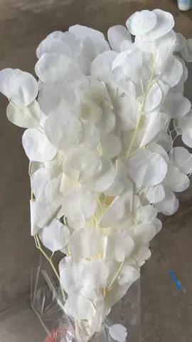 We are not selling products to you, but take natural beautiful things and happy life to you! Enjoy the nature together! #3hlink #Lavender #palmleaves #driedflowers #3hlinkflower #preservedflower #bohodecor #pampasgrass #hydrangea #homedecor #weddingdecoration #babybreath #handmadecrafts #hoteldecor #luxurydecor #flowerbouquet #flowerboxes #flowerbouquets #hydrangeas #christmasdecor #christmasflowers #preservedtree #witchbroom #christmas #driedflowerwholesale #cassiacinnamon #amarantus #willowbranch #minihaybales #decorhaybales 