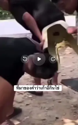 Cách Sử Lý Khi Bị Kẹt Trứng
