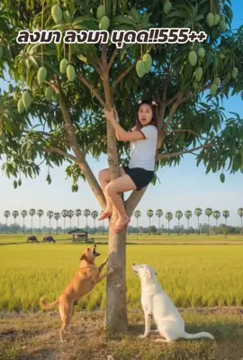 ลงมาสินุด !!! #สร้างวีดีโอเคลื่อนไหว #aiตลก #สร้างวีดีโอด้วยai #aiสร้างวีดีโอ 