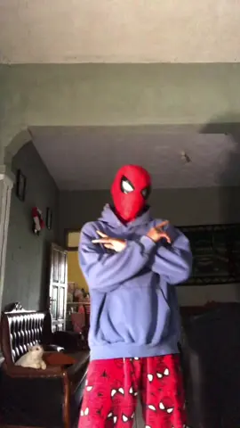 sudah selesai pertunjukan berakhir #fyp #viral #trendsounds #tenxi #spiderman 