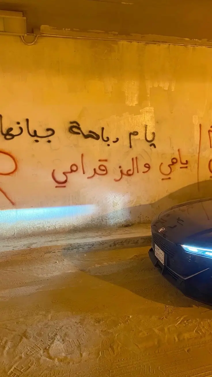 #يام #السعودية #نجران #fyp #الشعب_الصيني_ماله_حل😂😂 