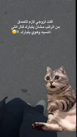 مصدومةة🙂!!!#وهيكااا🙂🌸  #تابعوني #تفاعلو #الشعب_الصيني_ماله_حل😂😂_ 