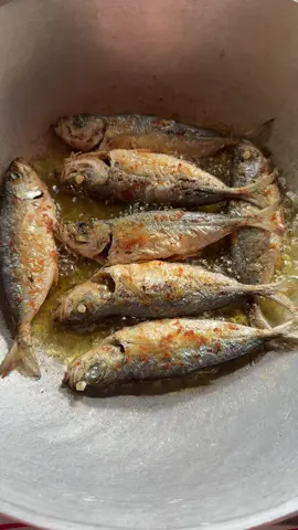 Kunwari nag prito ka nang isda 🐟😂 #prankvideo #prankyourfriends #prankyourfam #pritongisda #fyp 