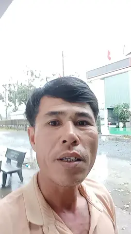 cho đời thêm vui