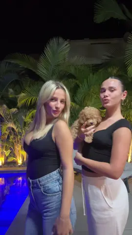 חיות המחמד שלי🥰🥰🥰