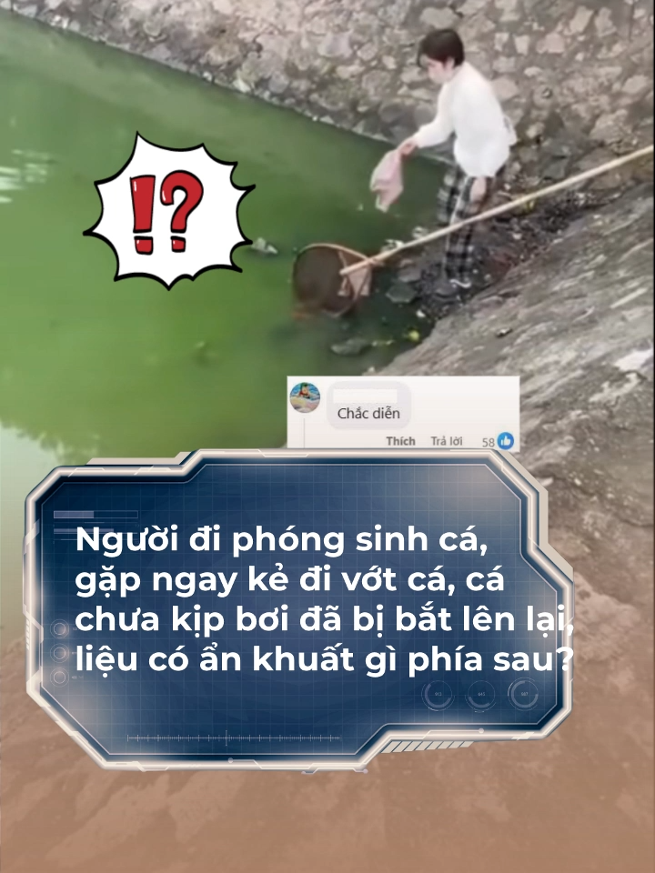 Trớ trêu người đi phóng sinh cá, gặp ngay kẻ đi vớt cá, cá chưa kịp bơi đã bị bắt lên lại, liệu có ẩn khuất gì phía sau? #saudrama #drama #tiktoknews #tiktokgiaitri