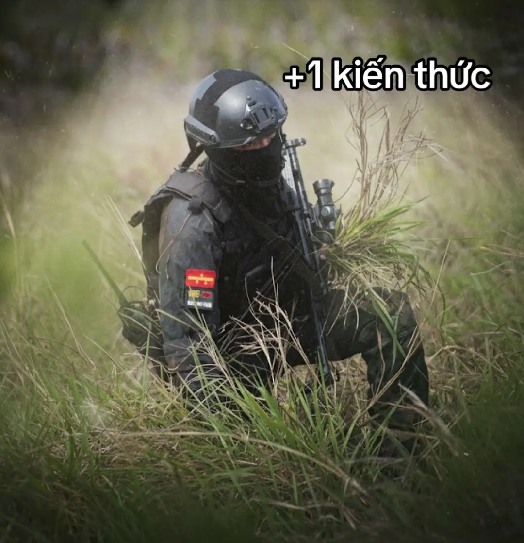 Kiến thức mới #abcxyz #ilovetiktok #j4f #k02_cscđ #ckb 