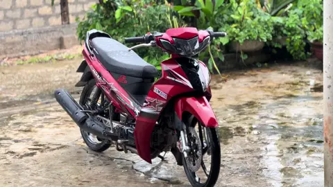 xem chán chưa để biến hình nè😝#sirius 