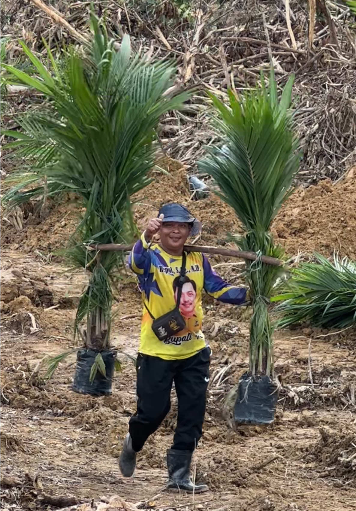 Mancaliak caliak LadHang #petanisawit 