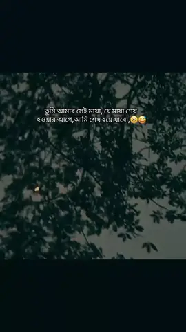 তুমি আমার সেই মায়া...!🥺😫 #viraltiktok #tiktok #fvpシ #tiktokbangladesh #foryou 