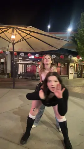 Are u even bestfriends if ur not complete opposites ?? #diaryofawimpyadult #dancechallenge #dancer #pitbullterrierchallenge 
