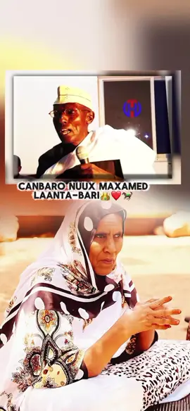 👸🏾👑❤️#dhulbahante🐎 #waqooyibari🐎🇧🇸 #somalitiktok #viosproblam😭 #fyp 