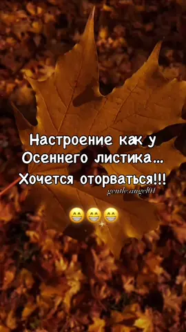#юмор #позитивчик #юморприколы #смех #осень  Инста: gentle.angel01