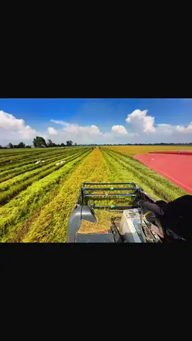 lúa nhật 3 tháng nghe ae 🤭🤭 #dc70gปากขยาย #xhtiktok #70plus 