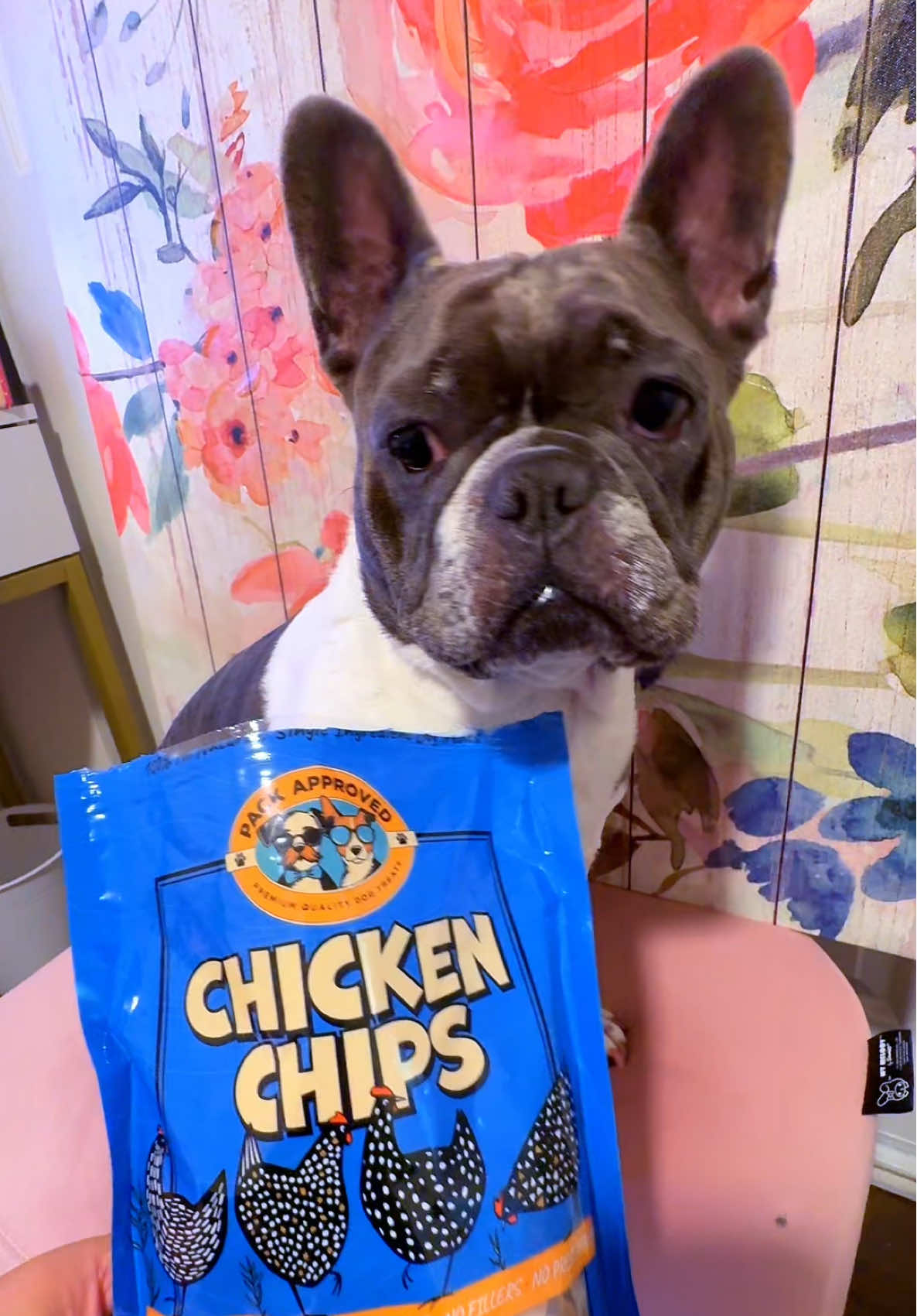 Ingredients: chicken 🐓 thats all 😎 great quality treats for your dog 🐶 