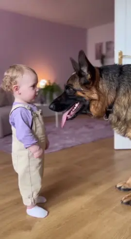 #dog #cutebaby #funnytoddler 