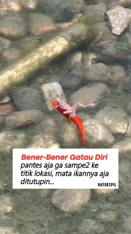 🐸 sesuai titik lokasi yaa bro
